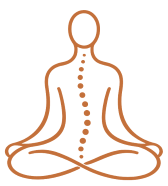 Icon representing the spine and release